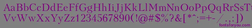 Peterburg Font – Purple Fonts on Gray Background