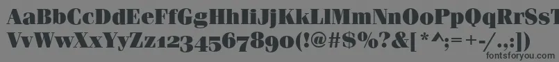 FerraraOsfUltraRegular Font – Black Fonts on Gray Background
