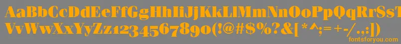 FerraraOsfUltraRegular Font – Orange Fonts on Gray Background