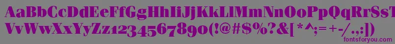 FerraraOsfUltraRegular Font – Purple Fonts on Gray Background