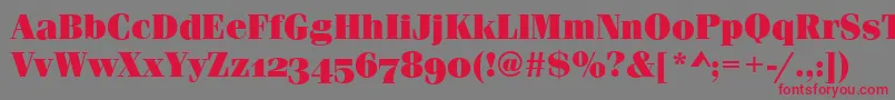 フォントFerraraOsfUltraRegular – 赤い文字の灰色の背景