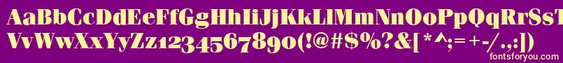 FerraraOsfUltraRegular Font – Yellow Fonts on Purple Background