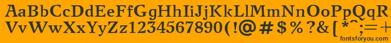 NewjournalcttBold Font – Black Fonts on Orange Background