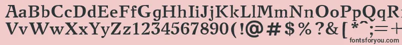 NewjournalcttBold Font – Black Fonts on Pink Background