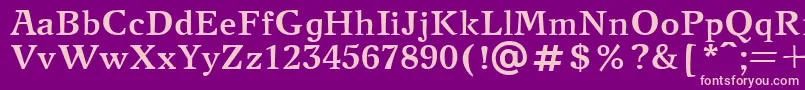 NewjournalcttBold Font – Pink Fonts on Purple Background