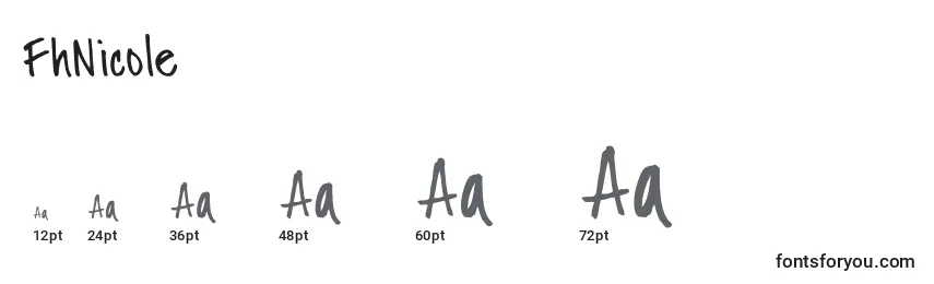 FhNicole Font Sizes