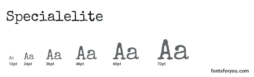 Размеры шрифта Specialelite