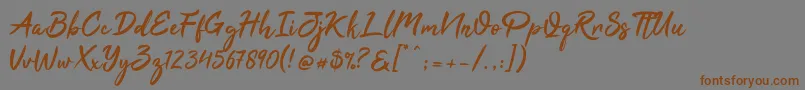 フォントTahu – 茶色の文字が灰色の背景にあります。