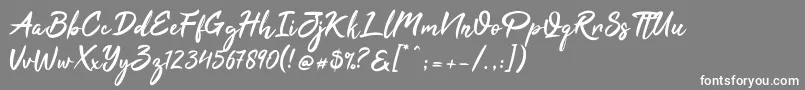 フォントTahu – 灰色の背景に白い文字