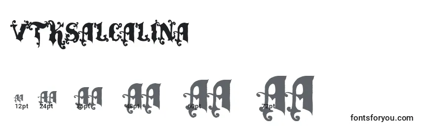 Vtksalcalina Font Sizes