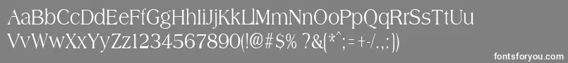 AmphioncondensedRegular Font – White Fonts on Gray Background