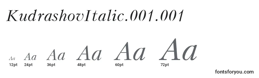 Размеры шрифта KudrashovItalic.001.001