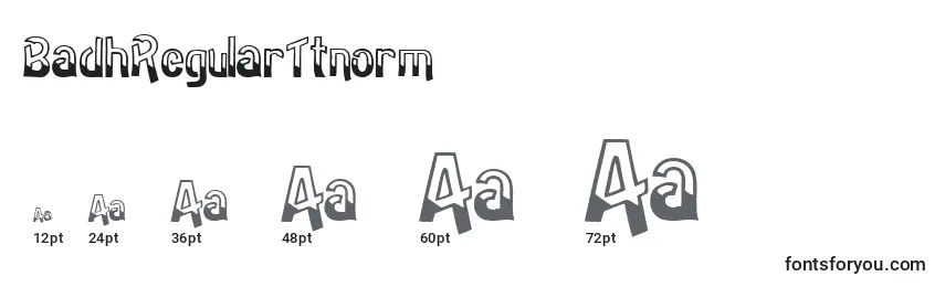 BadhRegularTtnorm Font Sizes
