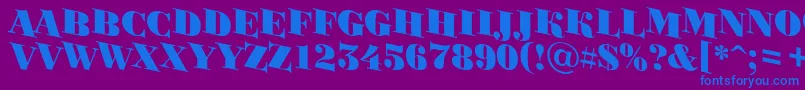 ABodoniortotitulspdnBlack Font – Blue Fonts on Purple Background