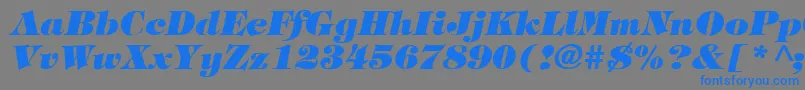TimpaniHeavyItalic Font – Blue Fonts on Gray Background