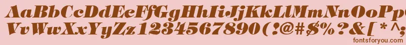 TimpaniHeavyItalic Font – Brown Fonts on Pink Background