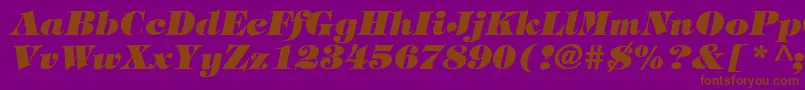 TimpaniHeavyItalic Font – Brown Fonts on Purple Background