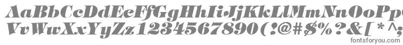 TimpaniHeavyItalic Font – Gray Fonts