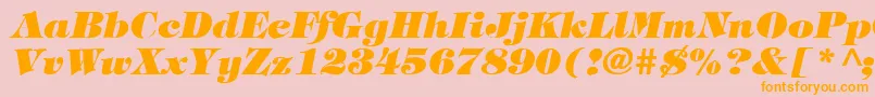 TimpaniHeavyItalic Font – Orange Fonts on Pink Background