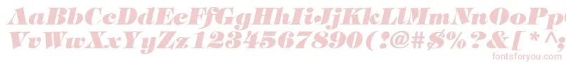 TimpaniHeavyItalic Font – Pink Fonts on White Background