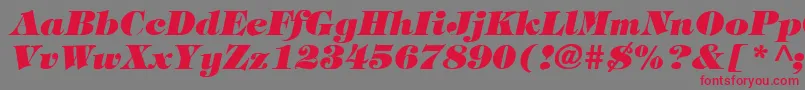 TimpaniHeavyItalic Font – Red Fonts on Gray Background