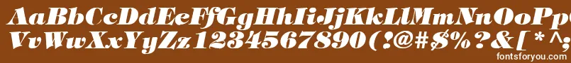 TimpaniHeavyItalic Font – White Fonts on Brown Background