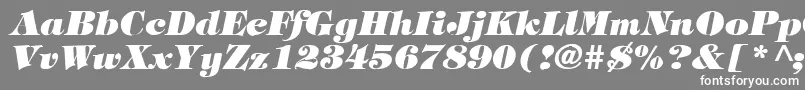 TimpaniHeavyItalic Font – White Fonts on Gray Background