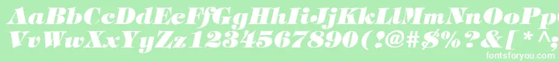 TimpaniHeavyItalic Font – White Fonts on Green Background