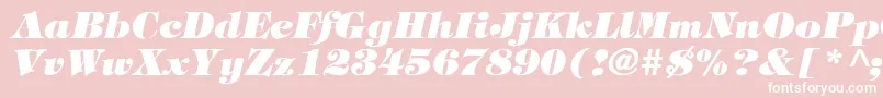 TimpaniHeavyItalic Font – White Fonts on Pink Background