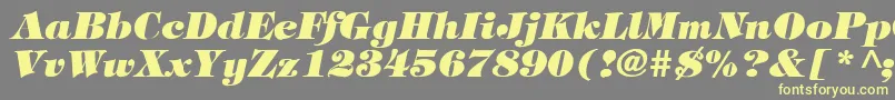 TimpaniHeavyItalic Font – Yellow Fonts on Gray Background