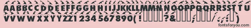 Bonnet Font – Black Fonts on Pink Background