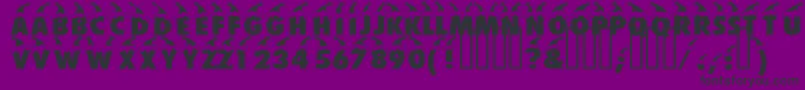 Bonnet Font – Black Fonts on Purple Background