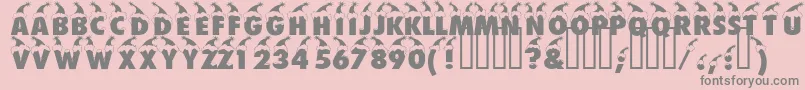 Bonnet Font – Gray Fonts on Pink Background