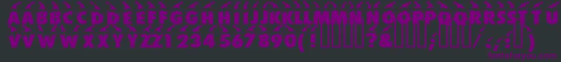 Police Bonnet – polices violettes sur fond noir