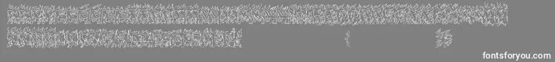 OaklandHills1991-Schriftart – Weiße Schriften auf grauem Hintergrund