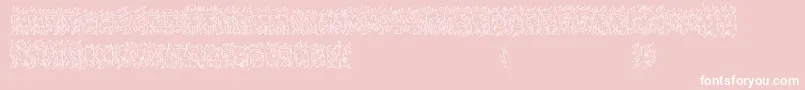 OaklandHills1991 Font – White Fonts on Pink Background