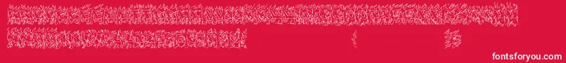 OaklandHills1991 Font – White Fonts on Red Background