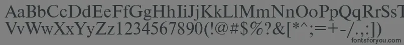 Шрифт PtNewtonCyrillic – чёрные шрифты на сером фоне