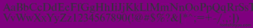 PtNewtonCyrillic-Schriftart – Schwarze Schriften auf violettem Hintergrund