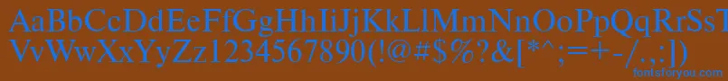 PtNewtonCyrillic Font – Blue Fonts on Brown Background