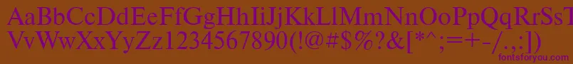 PtNewtonCyrillic Font – Purple Fonts on Brown Background