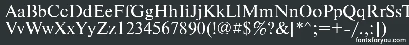 PtNewtonCyrillic Font – White Fonts on Black Background