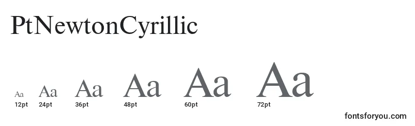 Размеры шрифта PtNewtonCyrillic