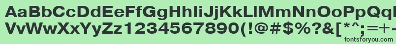 フォントPragmaticacttBold110b – 緑の背景に黒い文字