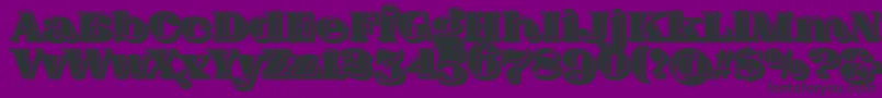 FatFlamingo5SideFill Font – Black Fonts on Purple Background