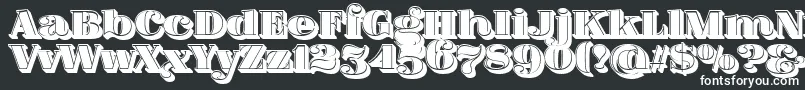 FatFlamingo5SideFill Font – White Fonts on Black Background