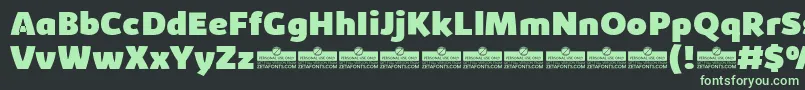 KabrioHeavyTrial Font – Green Fonts on Black Background