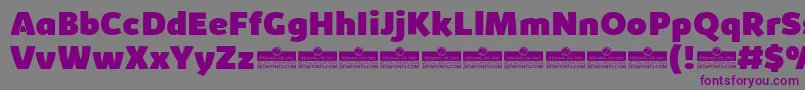 フォントKabrioHeavyTrial – 紫色のフォント、灰色の背景