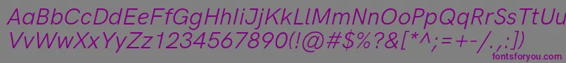 HkgroteskItalic Font – Purple Fonts on Gray Background