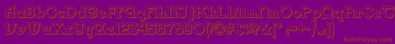 Vlaanderen Shadow Nf Font – Brown Fonts on Purple Background